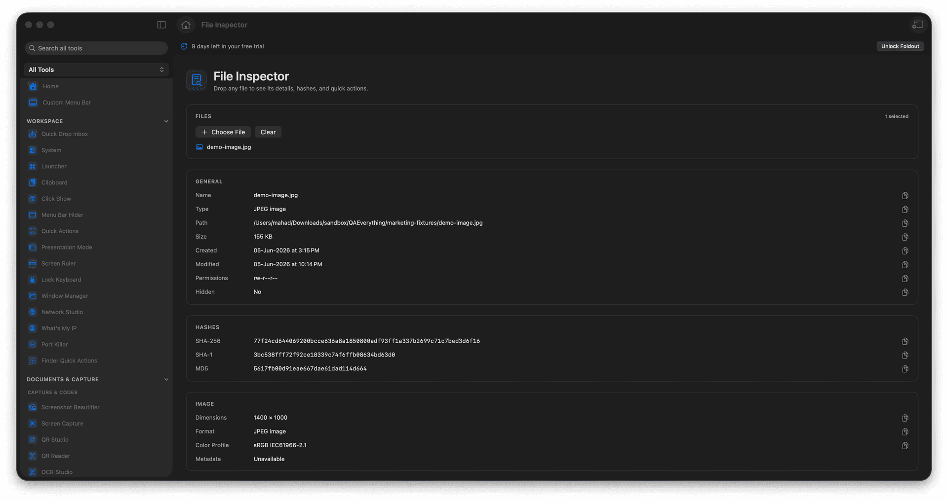 Foldout Inspect file details, hashes, and quick actions tool screen on macOS